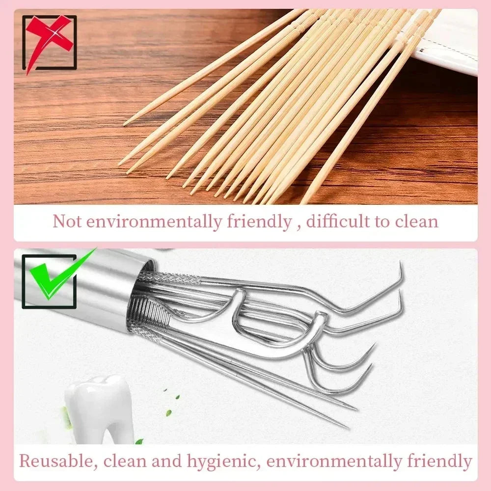 RUZOFO Stainless Steel Toothpick Set - Portable Dental Tool for Oral Cleaning and Care