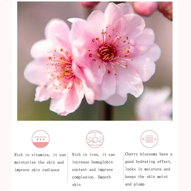 Cherry Blossom Hydrating Body Lotion | Anti-Aging, Brightening and Skin Repairing